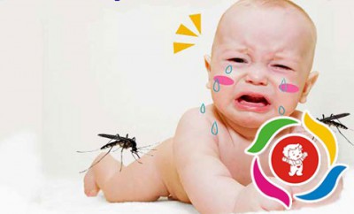 Bệnh sốt xuất huyết