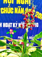 sinh hoạt 20/10