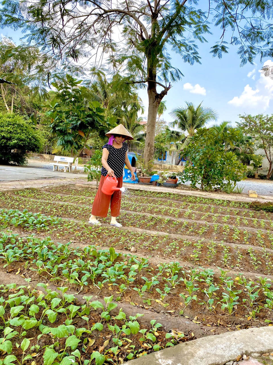 Công tác vệ sinh phòng chống dịch bệnh corona của trường MG Vành Khuyên